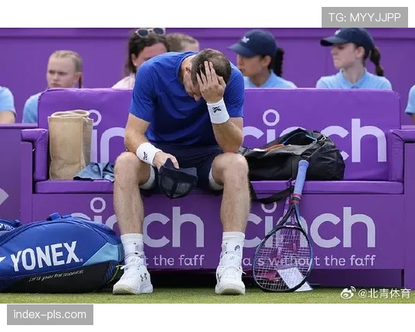穆雷手术恢复顺利国王前锋因伤缺阵四至六周赛季前景受关注